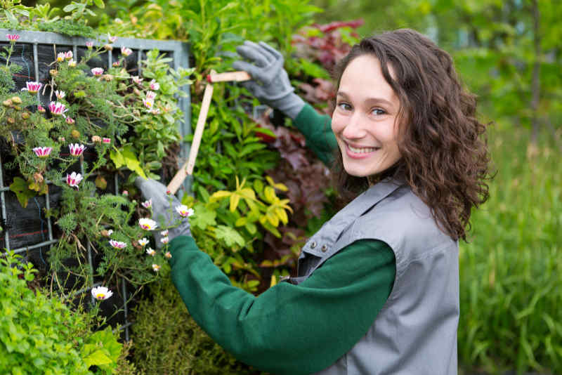 View of a young landscaper woman working on trimming some plants