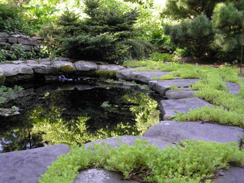 Lovely hardscape installation around a natural pond